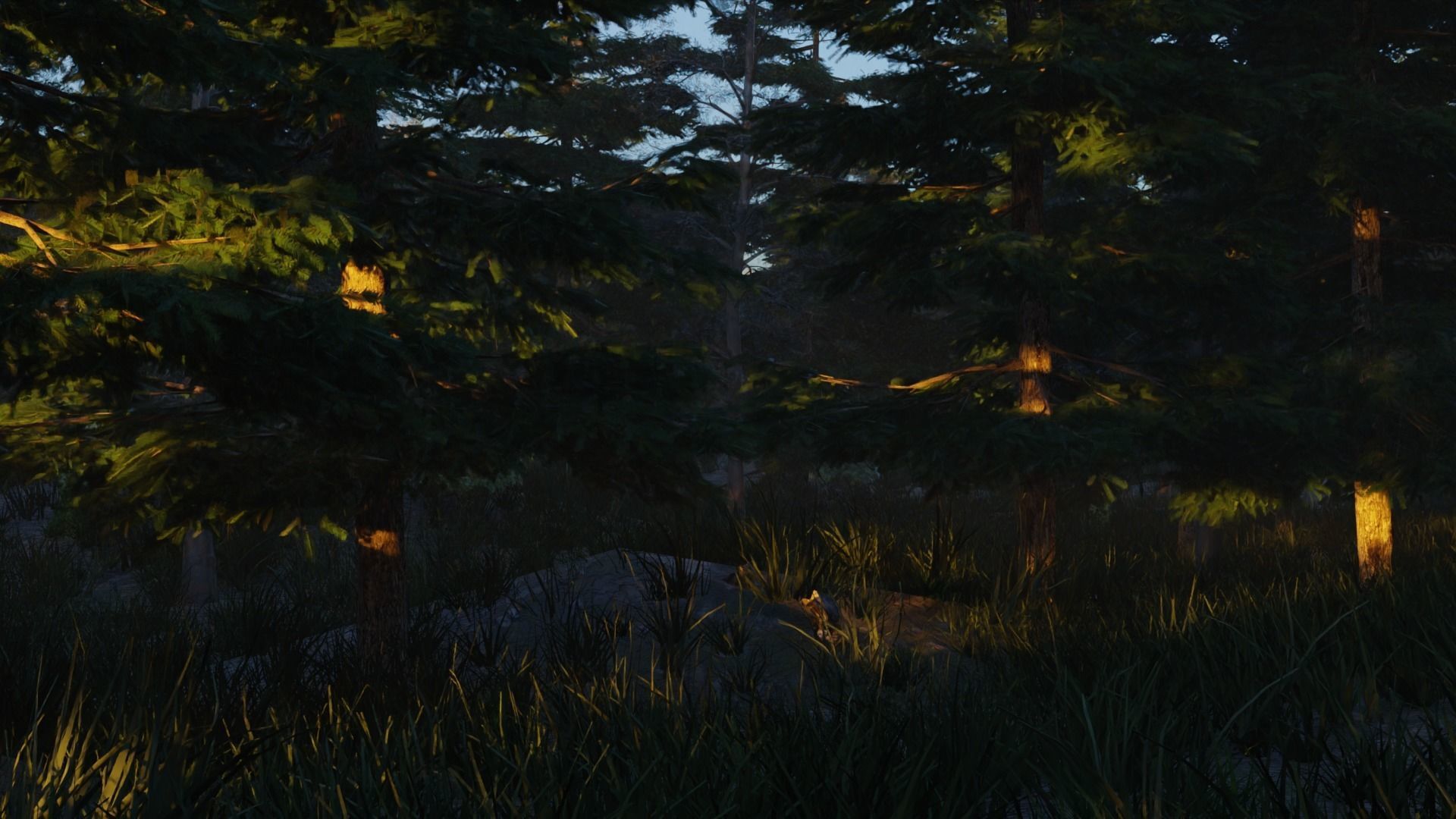 Summer forest 3D model_4