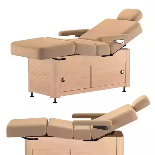 Maharaja Electric Spa Massage Table 3D model