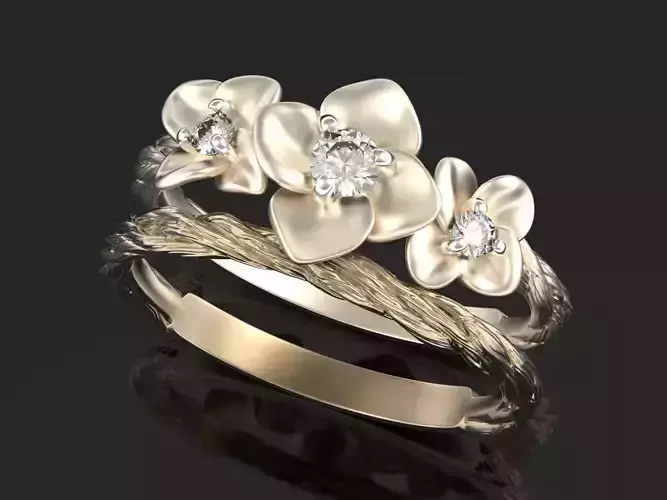 Country song Verse X