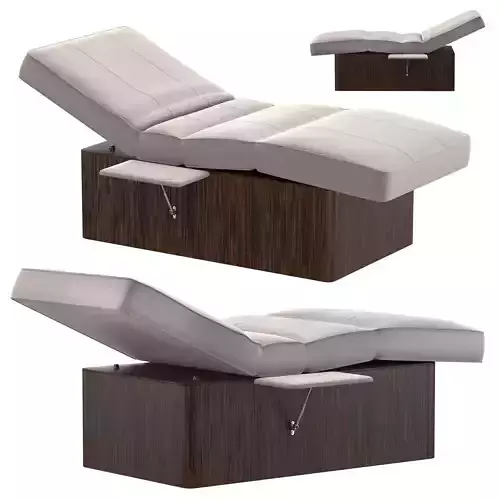 Somil Electric Spa Relaxation Lounger
