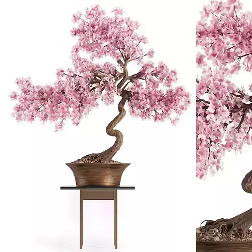 Bonsai spring flowers