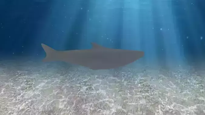 Whale shark swims in ocean