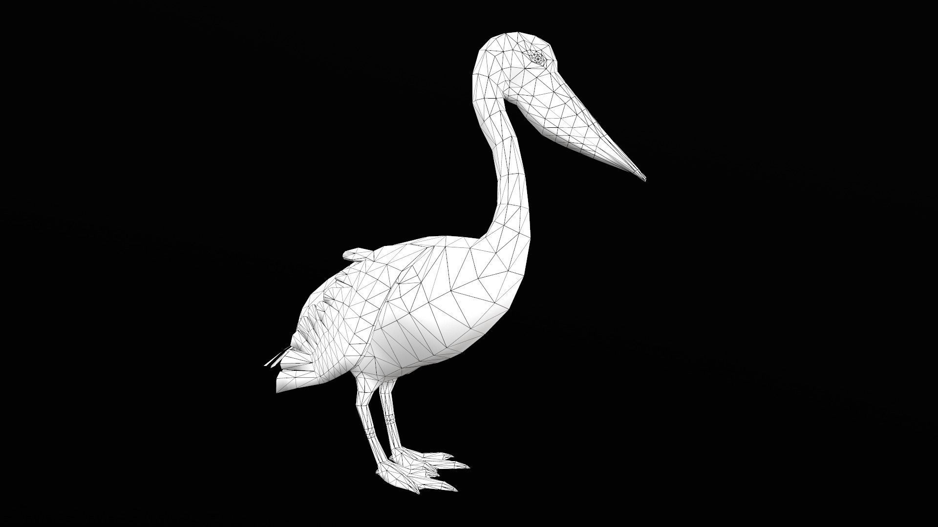low-poly animated pelican pelecanus Low-poly 3D model_7