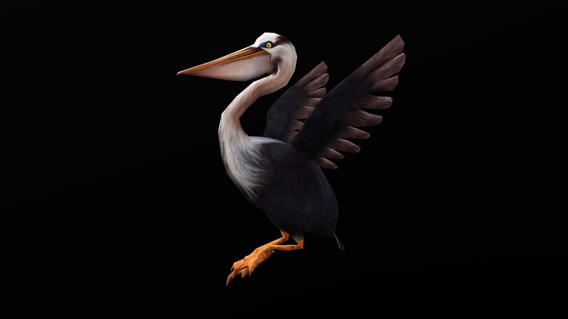 low-poly animated pelican pelecanus Low-poly 3D model_6