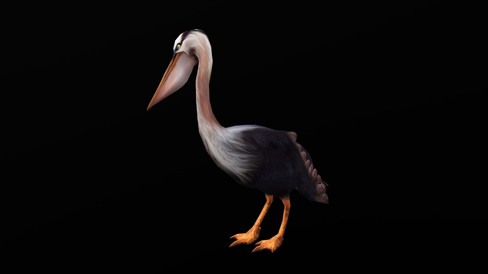 low-poly animated pelican pelecanus Low-poly 3D model_3
