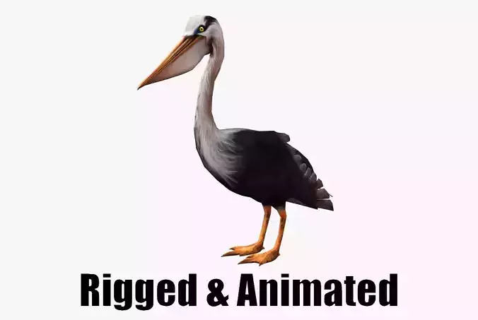 low-poly animated pelican pelecanus