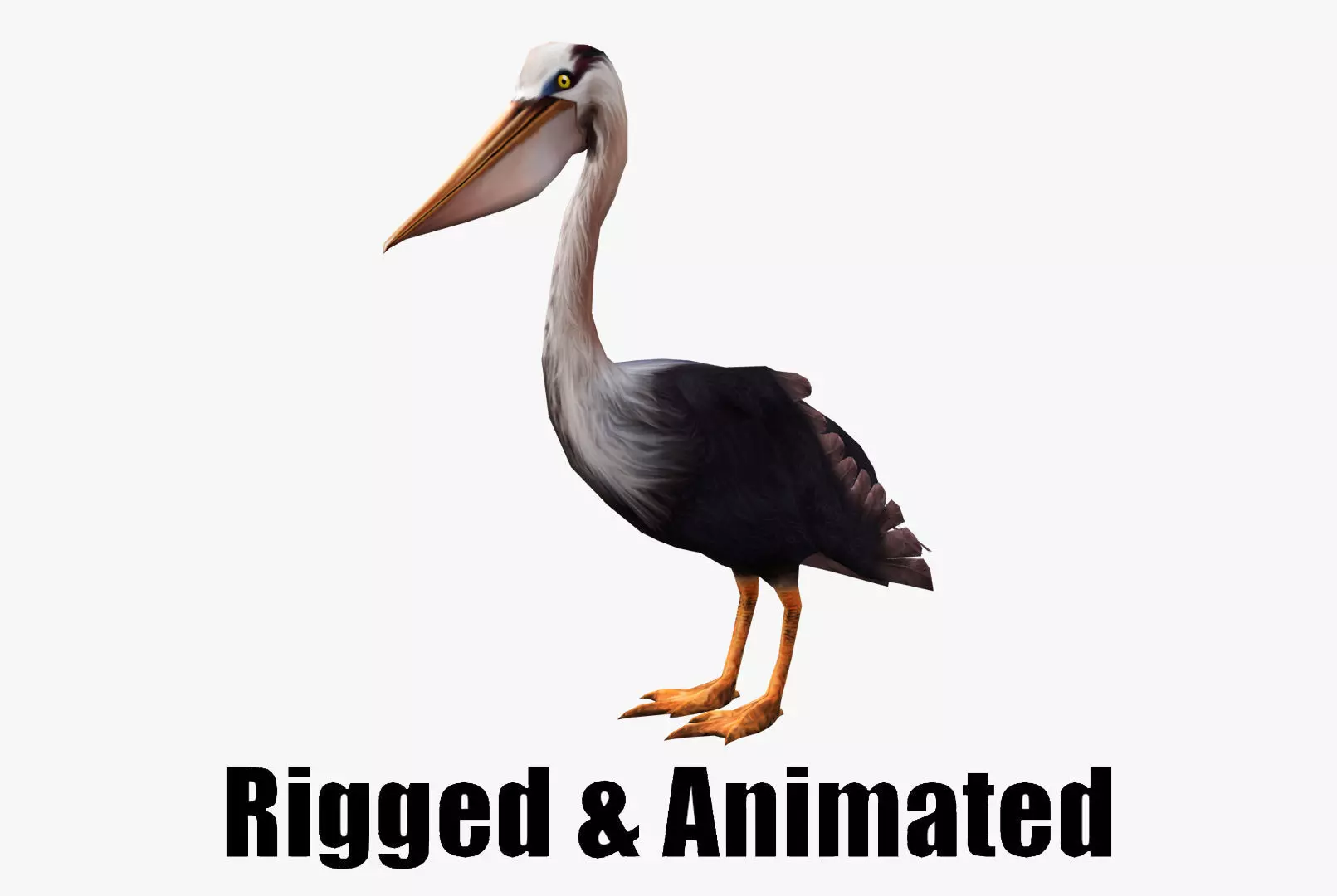 low-poly animated pelican pelecanus Low-poly 3D model_0