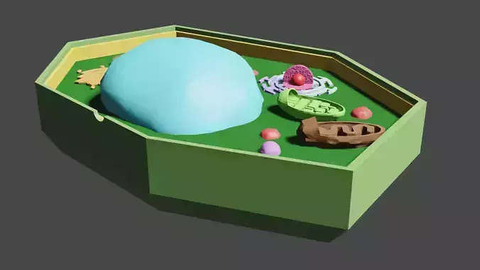 Plant Cell 3D model