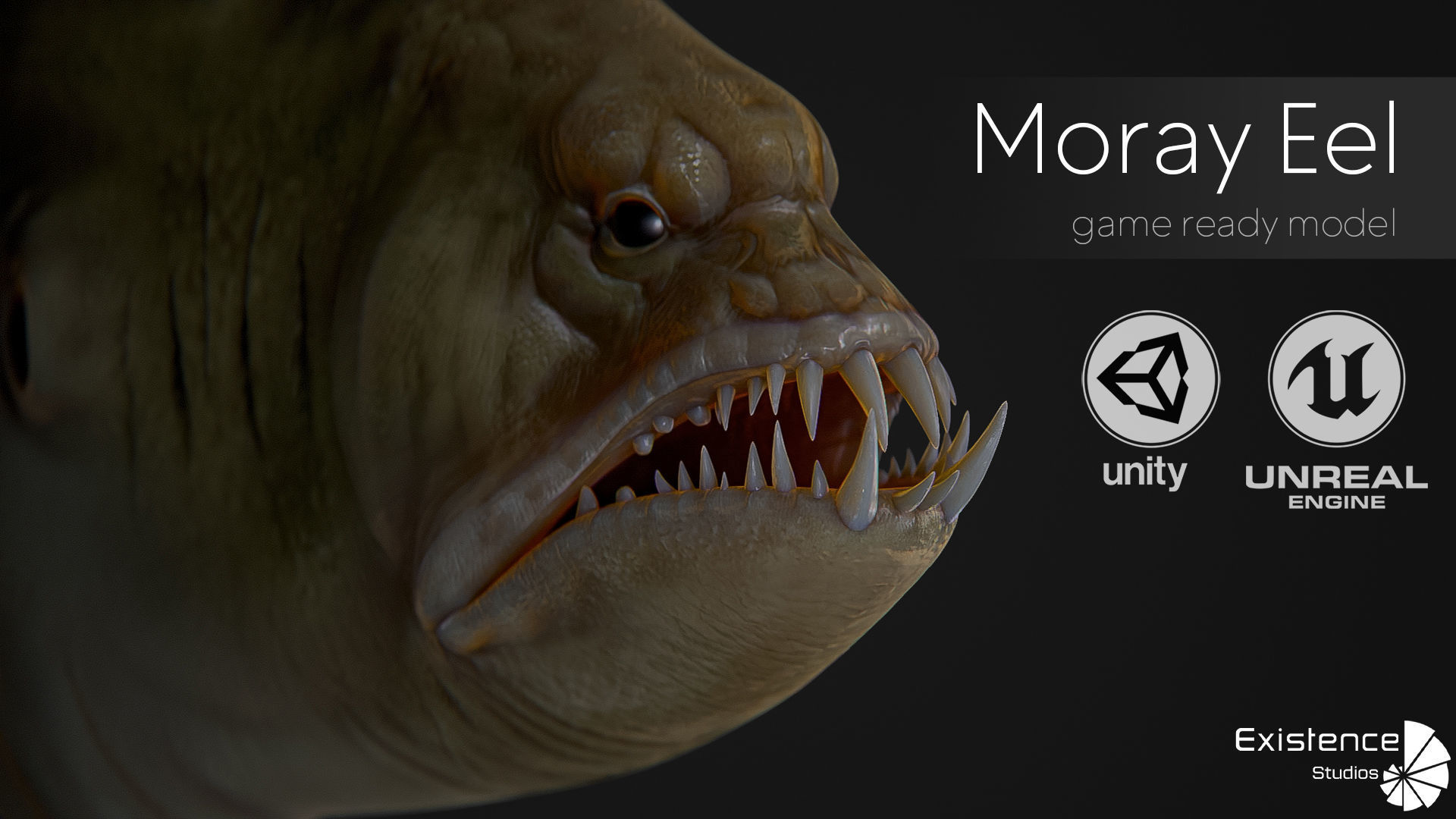 Fish low poly model - Moray Eel fish - horror - monster fish 4 Low-poly 3D model_2