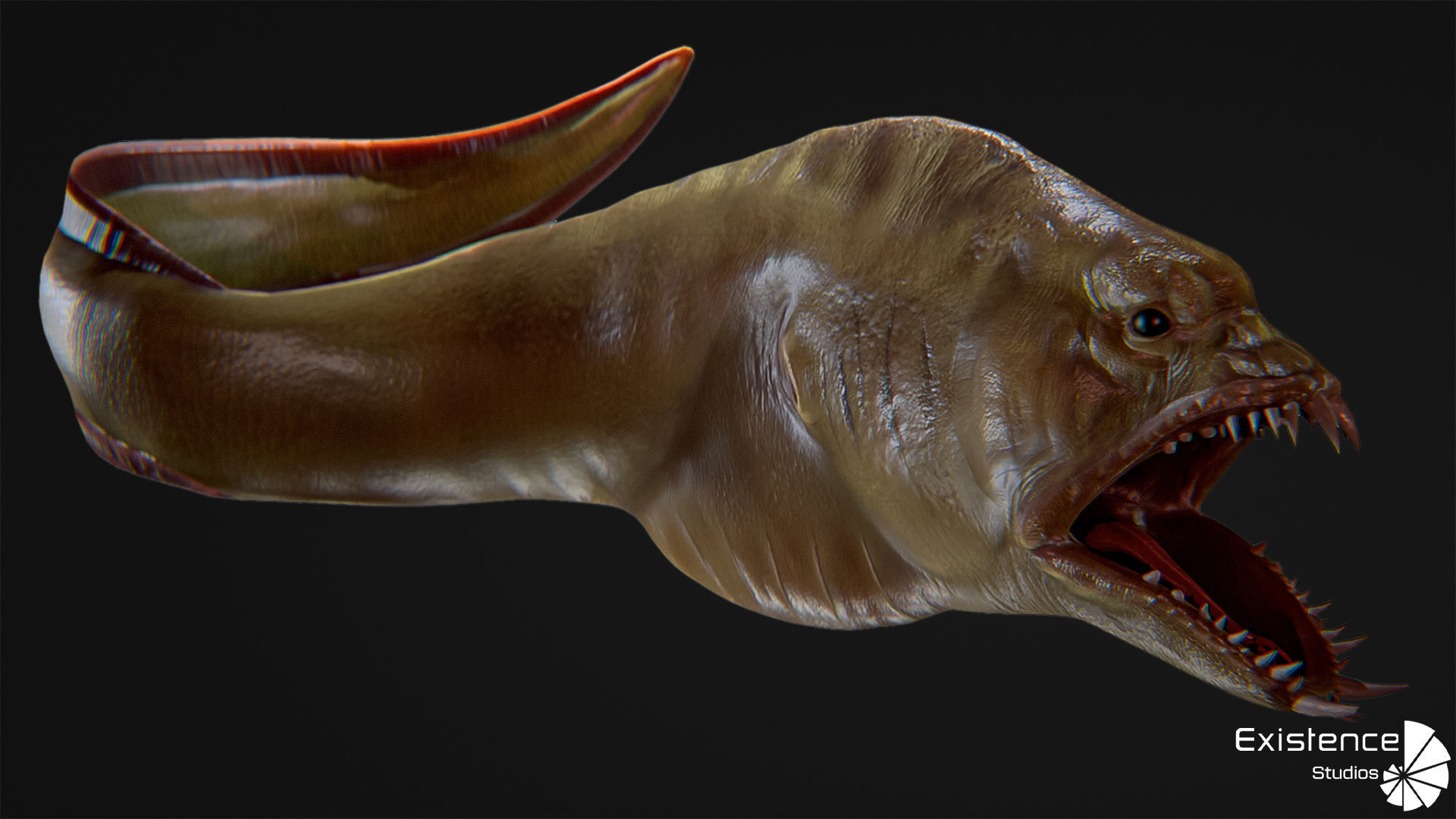 Fish low poly model - Moray Eel fish - horror - monster fish 4 Low-poly 3D model_7