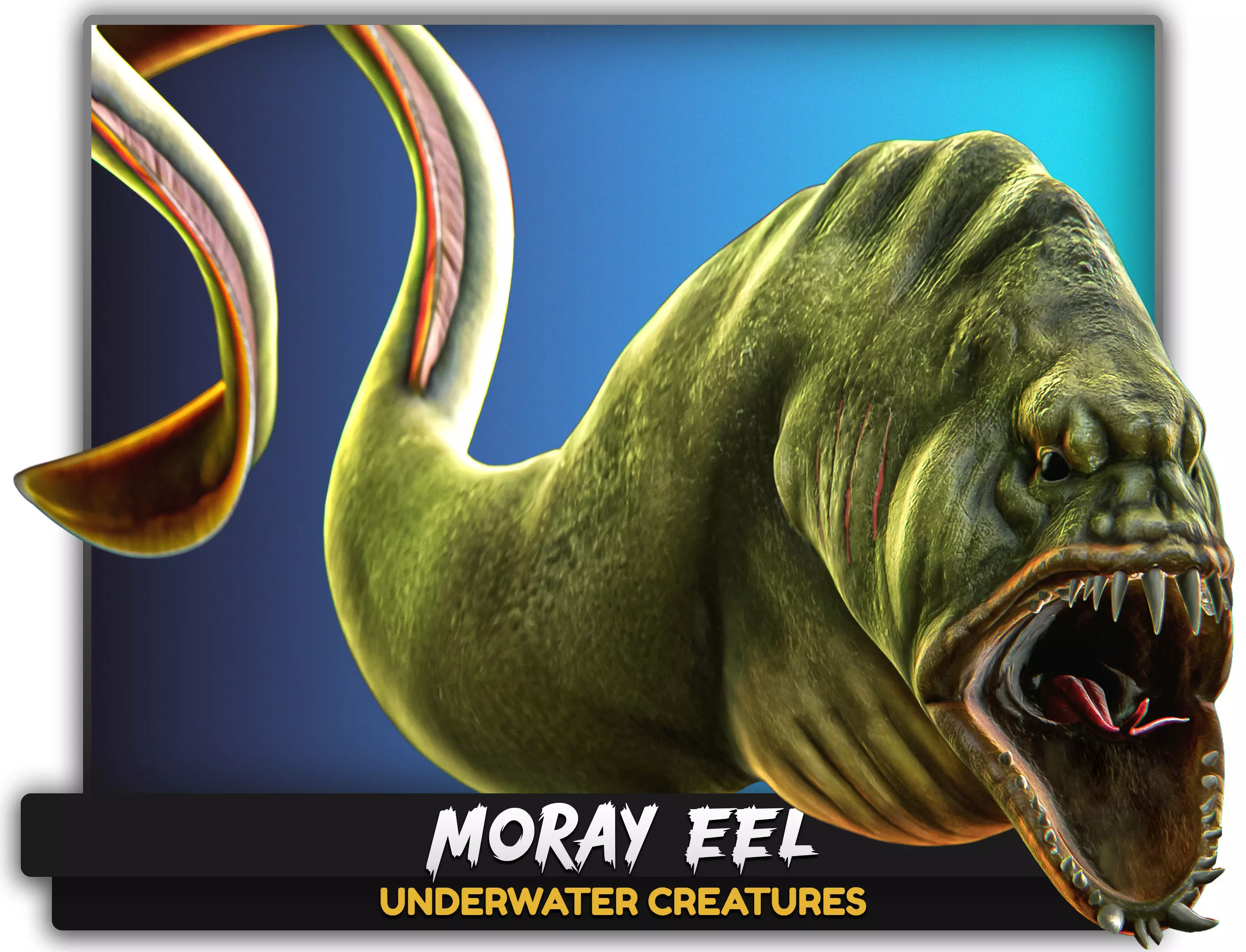 Fish low poly model - Moray Eel fish - horror - monster fish 4 Low-poly 3D model_0