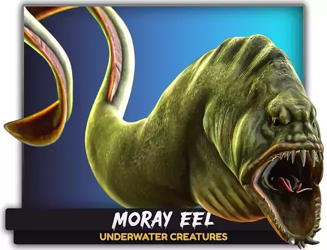 Fish low poly model - Moray Eel fish - horror - monster fish 4 Low-poly 3D model