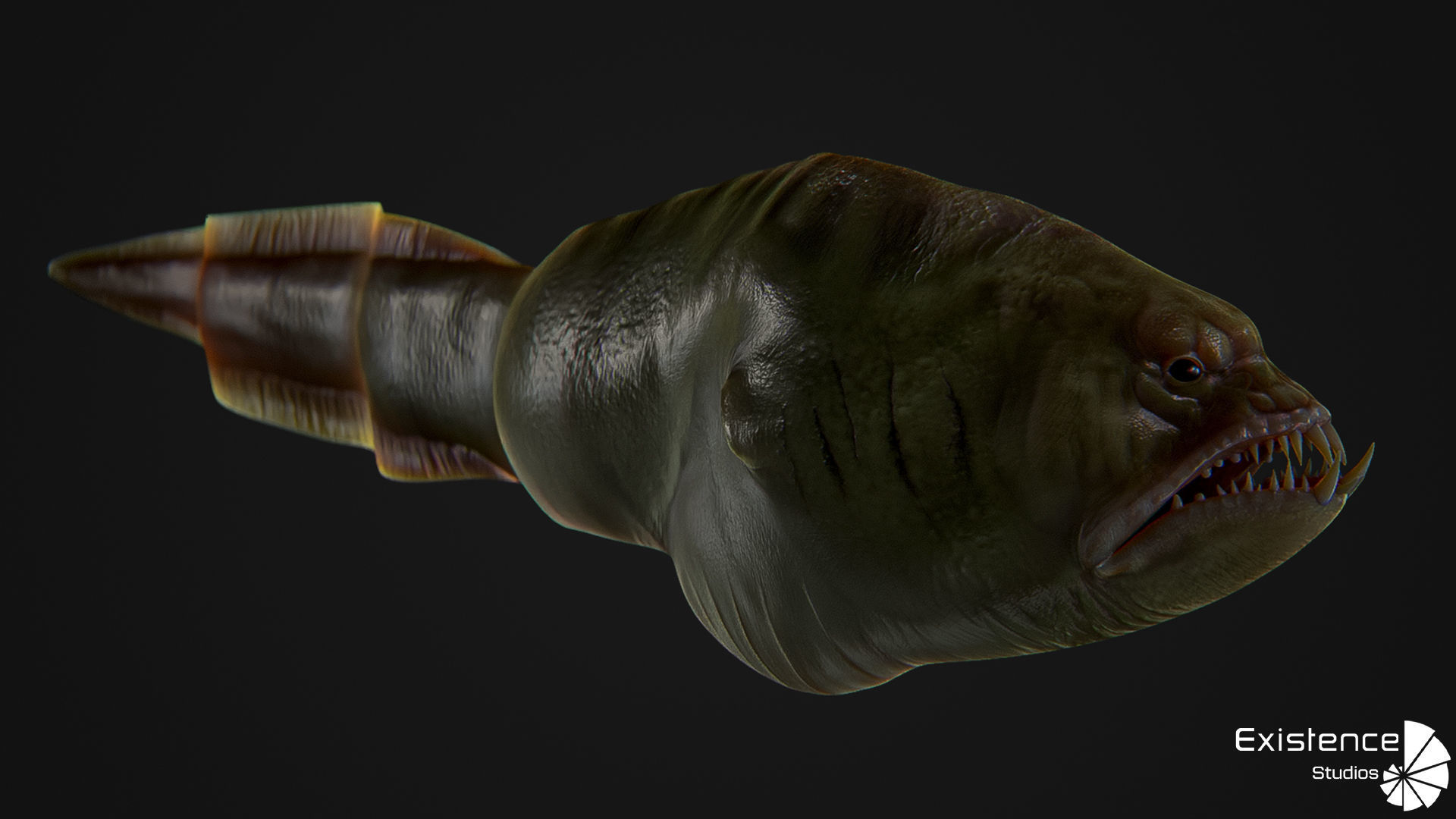 Fish low poly model - Moray Eel fish - horror - monster fish 4 Low-poly 3D model_5