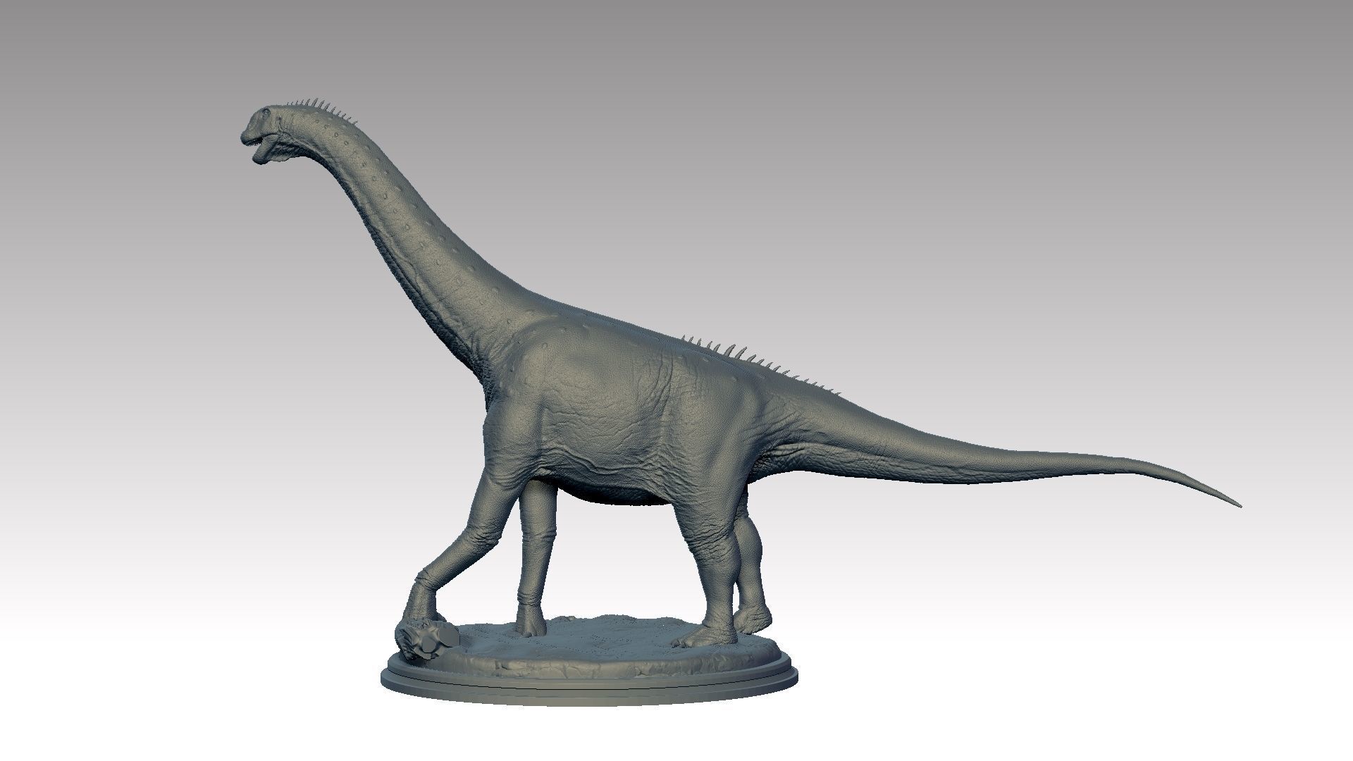 Camarasaurus supremus for 3D printing 3D print model_5