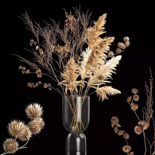 Bouquet of dried flowers with thorn and cardaderia branches 283 3D model