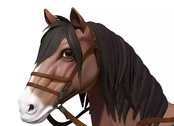 Cartoon Horse  Animal