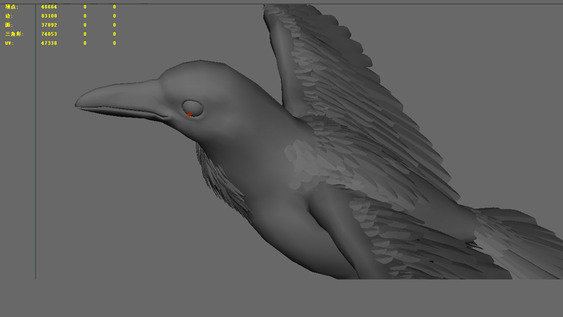 Crow Bird Dove 3D model_5