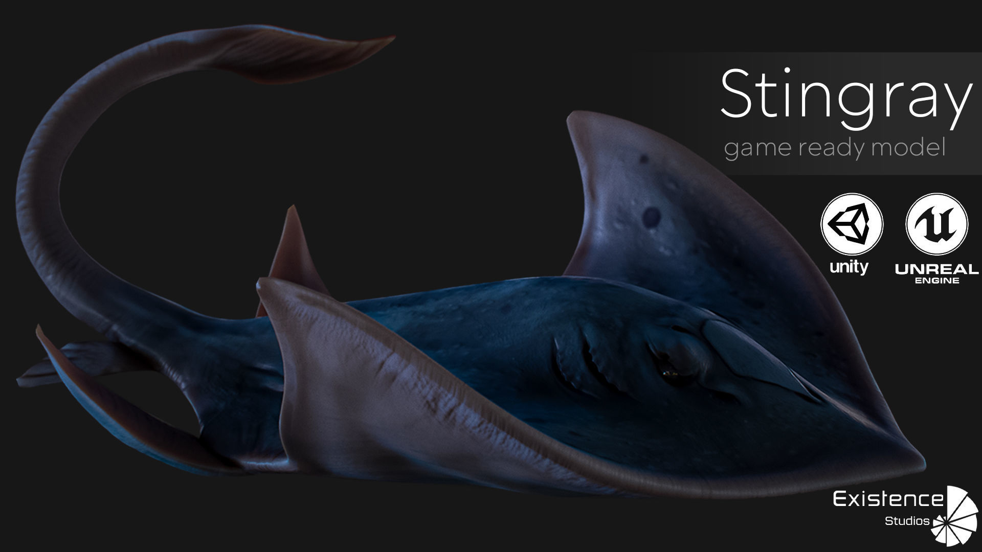 Ocean Monster Fish Pack - Fish low poly model - horror fish - 0 3D Model Collection_15
