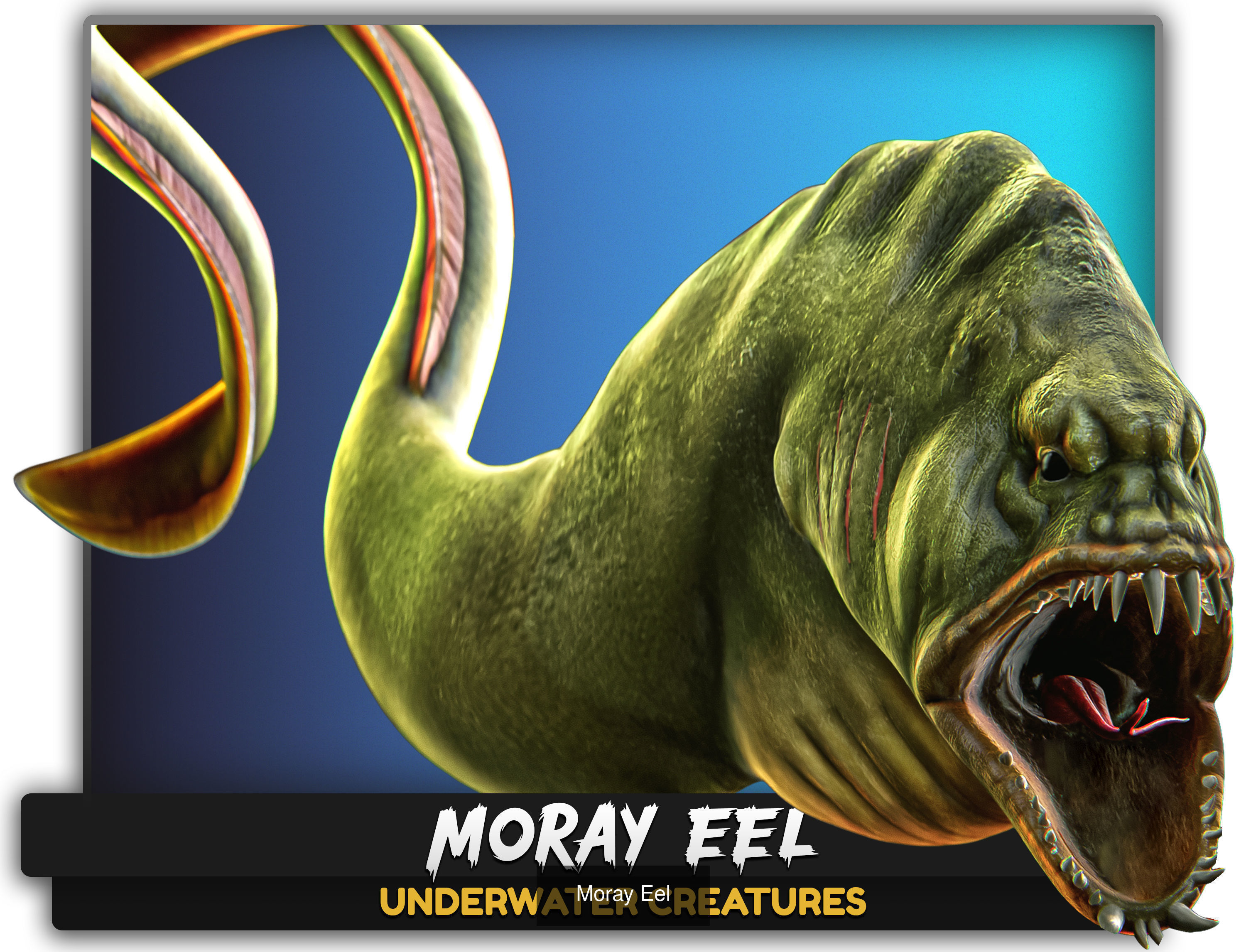 Ocean Monster Fish Pack - Fish low poly model - horror fish - 0 3D Model Collection_6