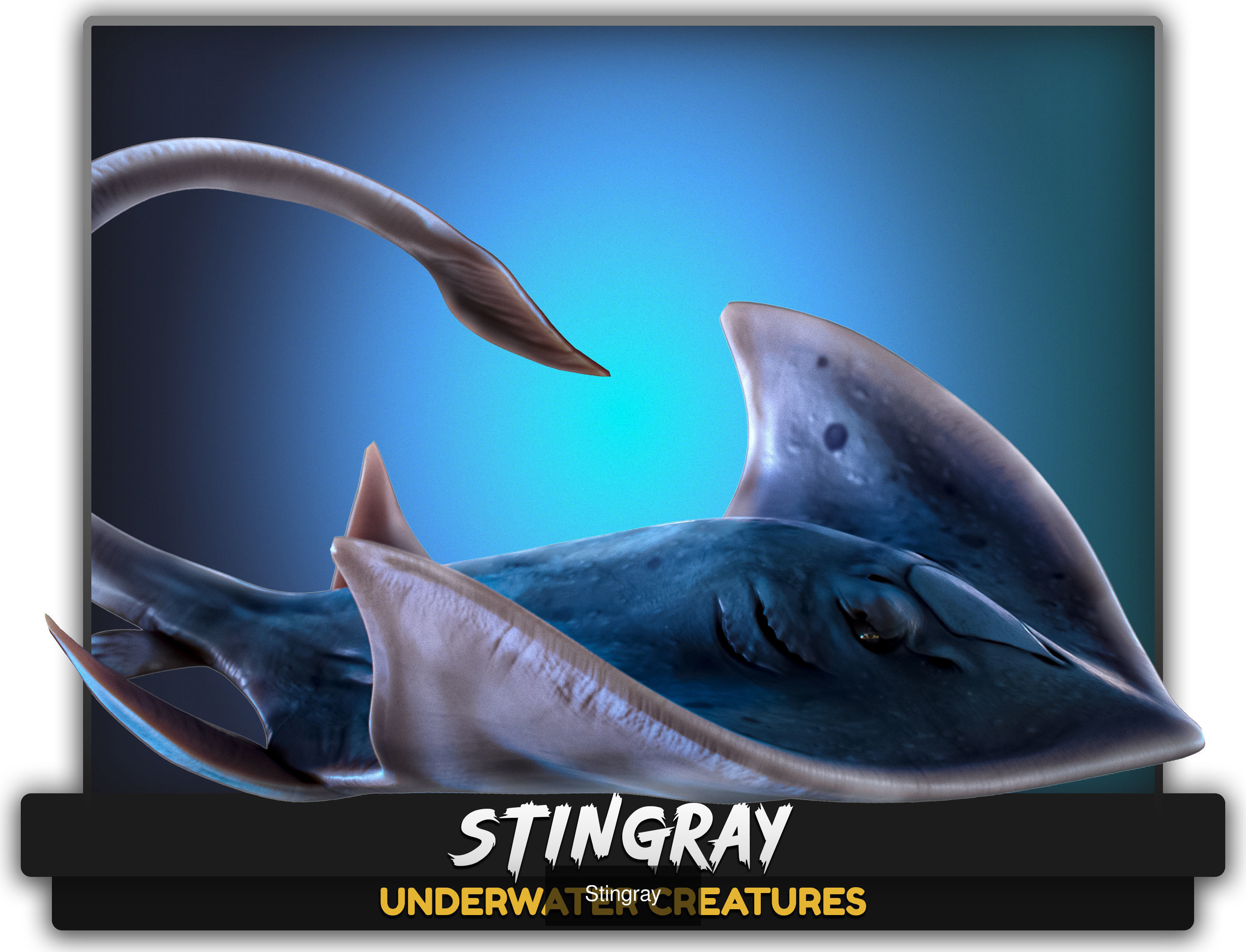 Ocean Monster Fish Pack - Fish low poly model - horror fish - 0 3D Model Collection_9