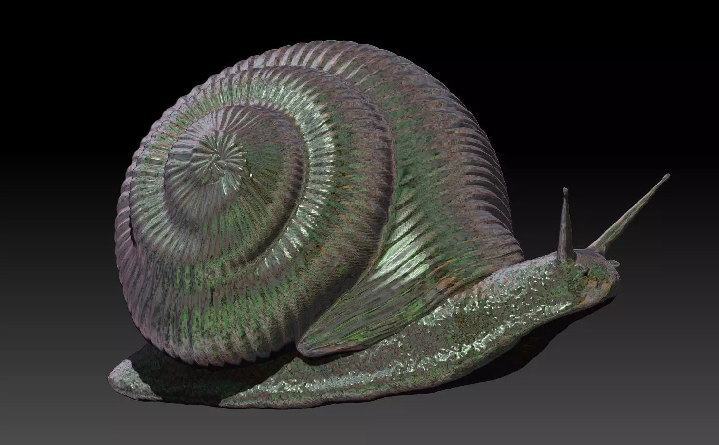 The snail 3D print model