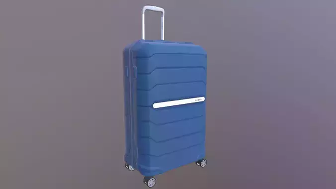 Trolley Bag