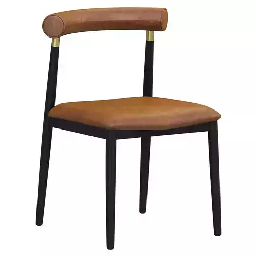 Dantone Home Naomi chair 3D model