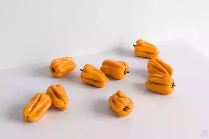 Habanero 3D model