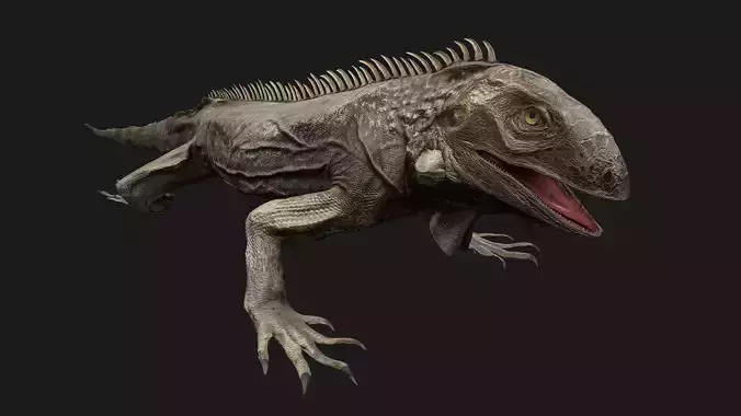 Iguana Reptile Low-poly 3D model