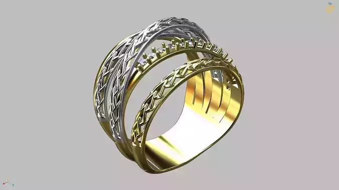 Intertwined Ring
