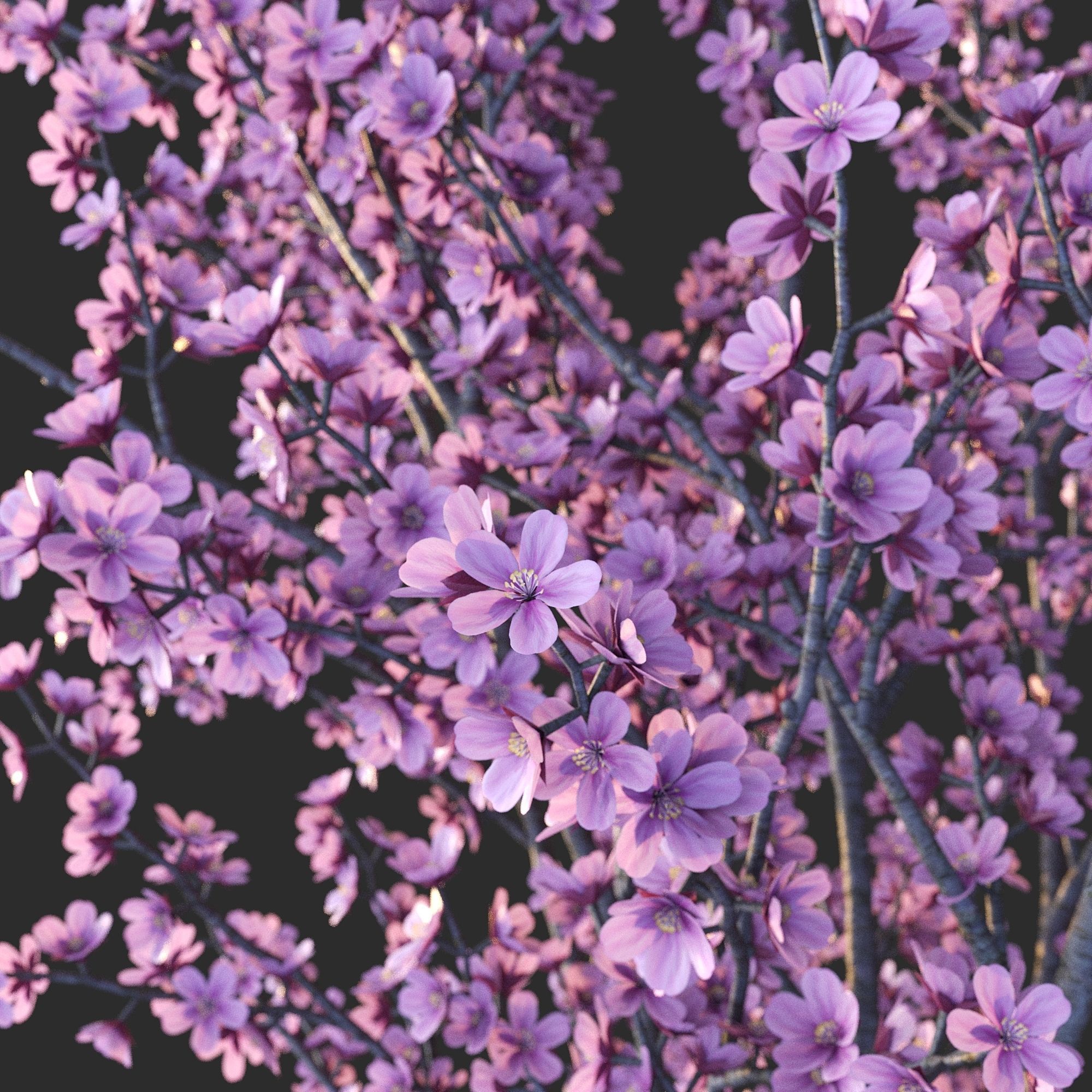 Sakura in vase 3D model_4