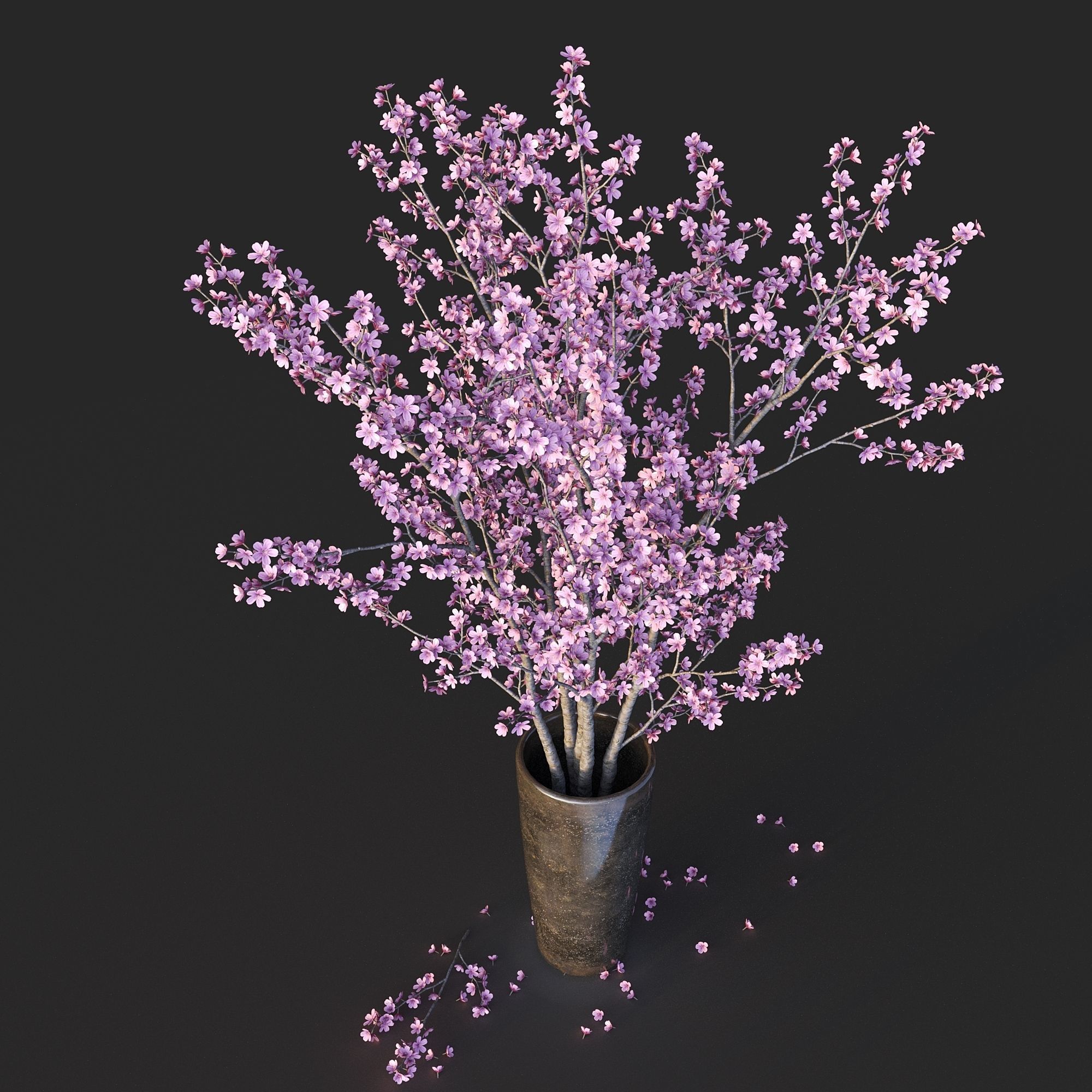 Sakura in vase 3D model_3