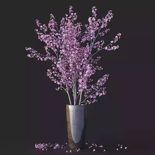 Sakura in vase 3D model