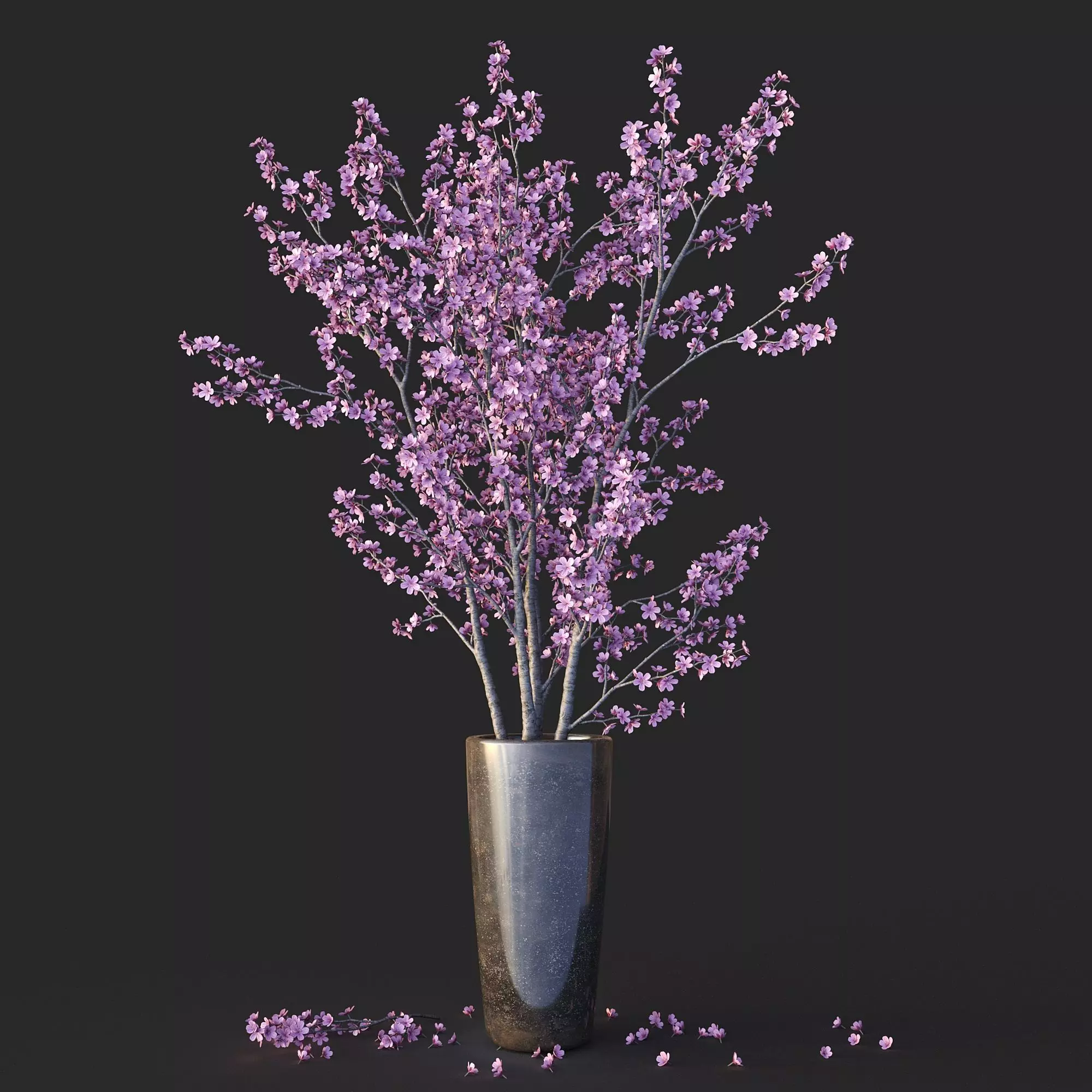 Sakura in vase 3D model_0