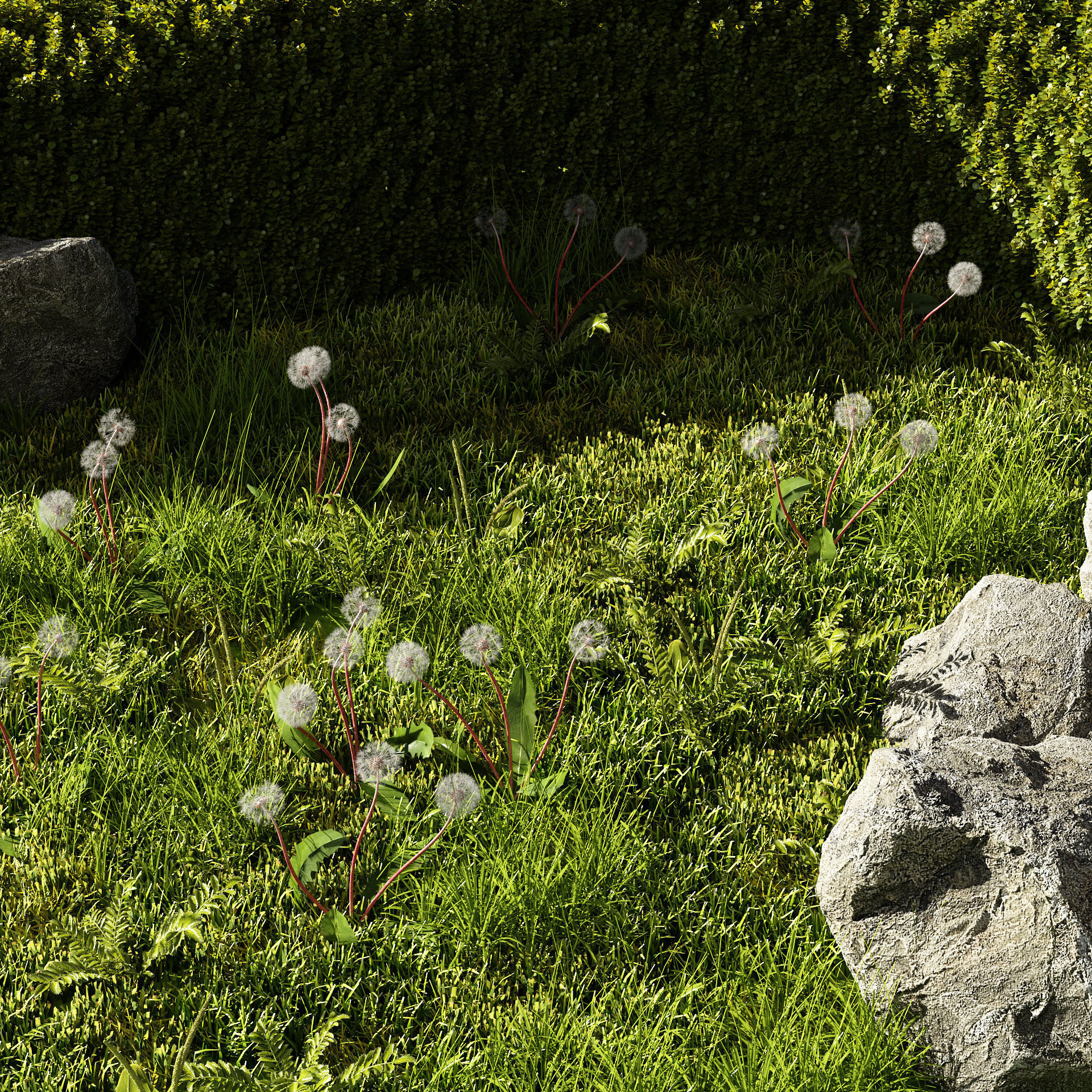 Garden Plants Collection 3D model_2