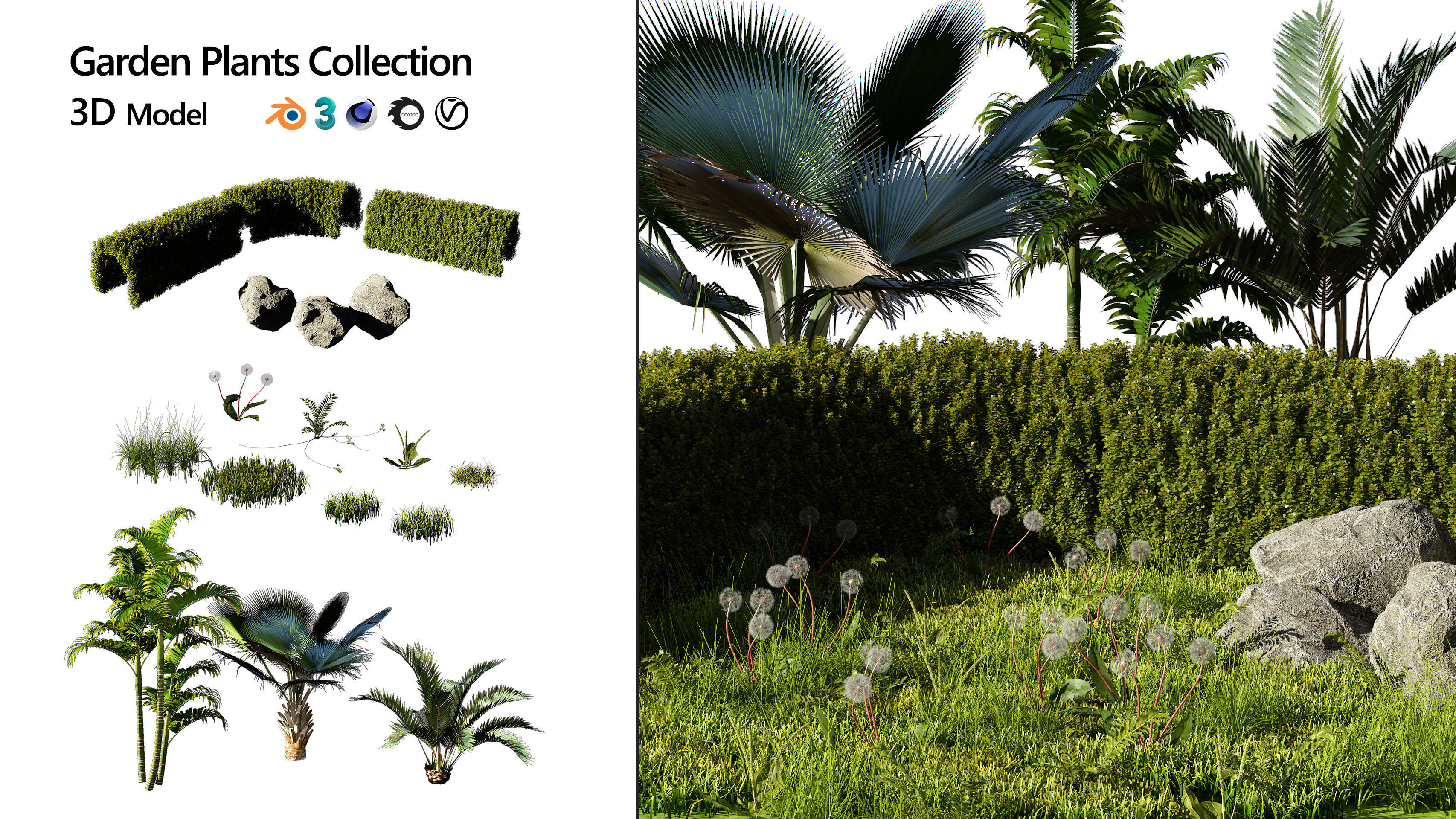 Garden Plants Collection 3D model_1