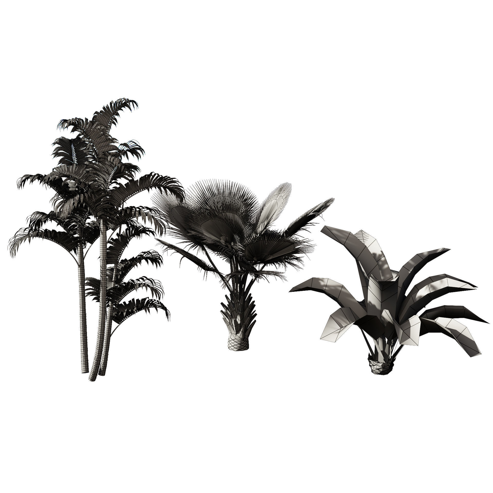 Garden Plants Collection 3D model_8