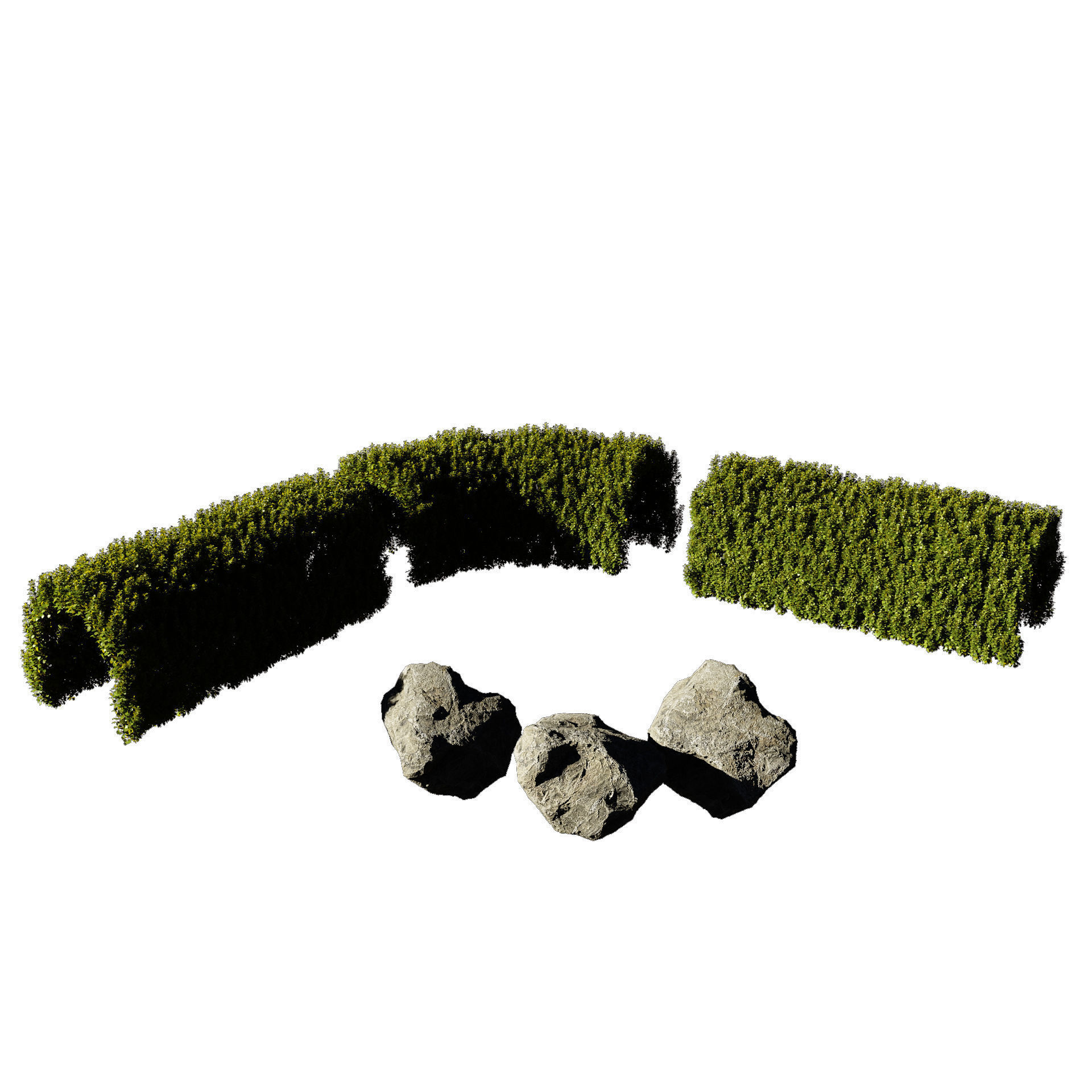 Garden Plants Collection 3D model_4