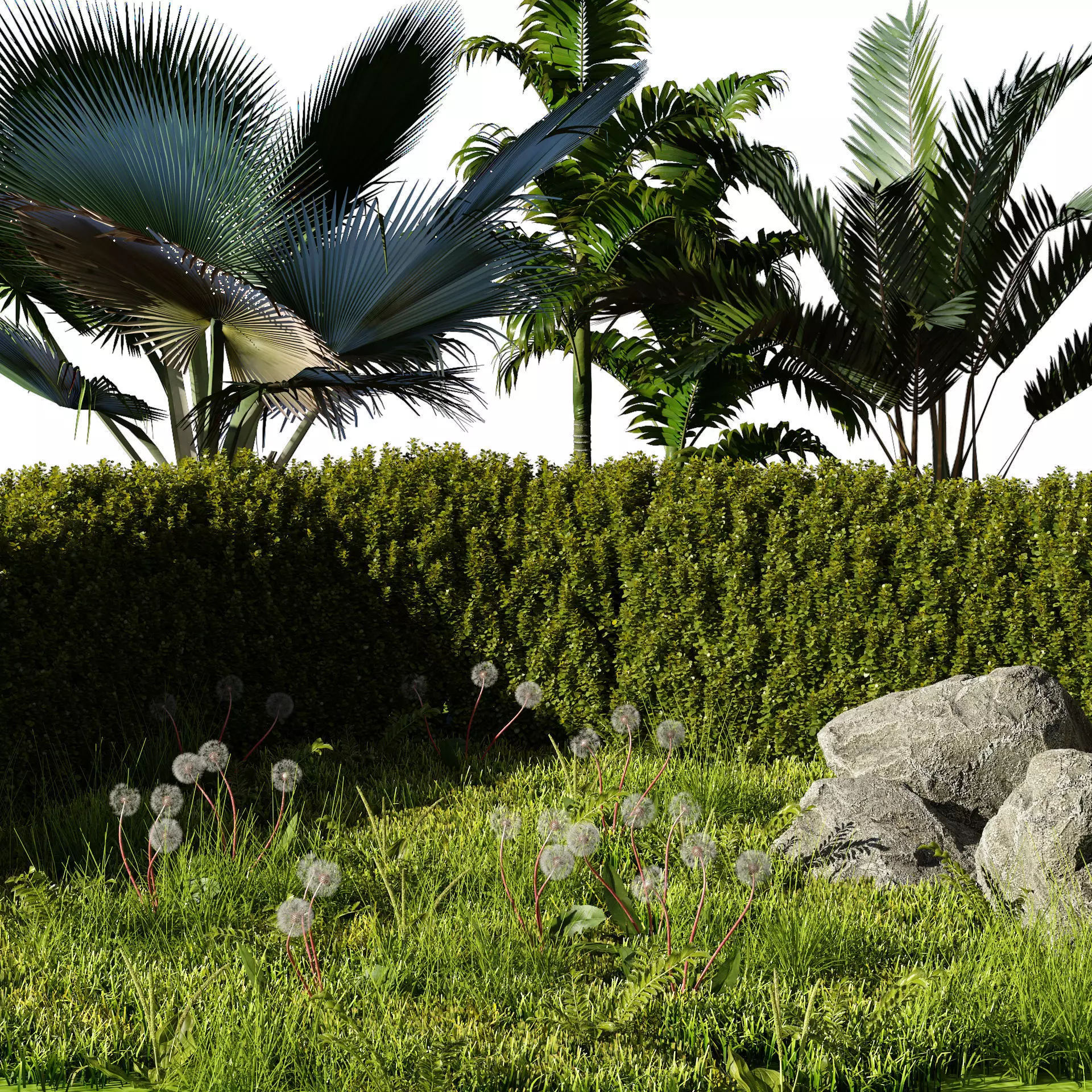 Garden Plants Collection 3D model_0
