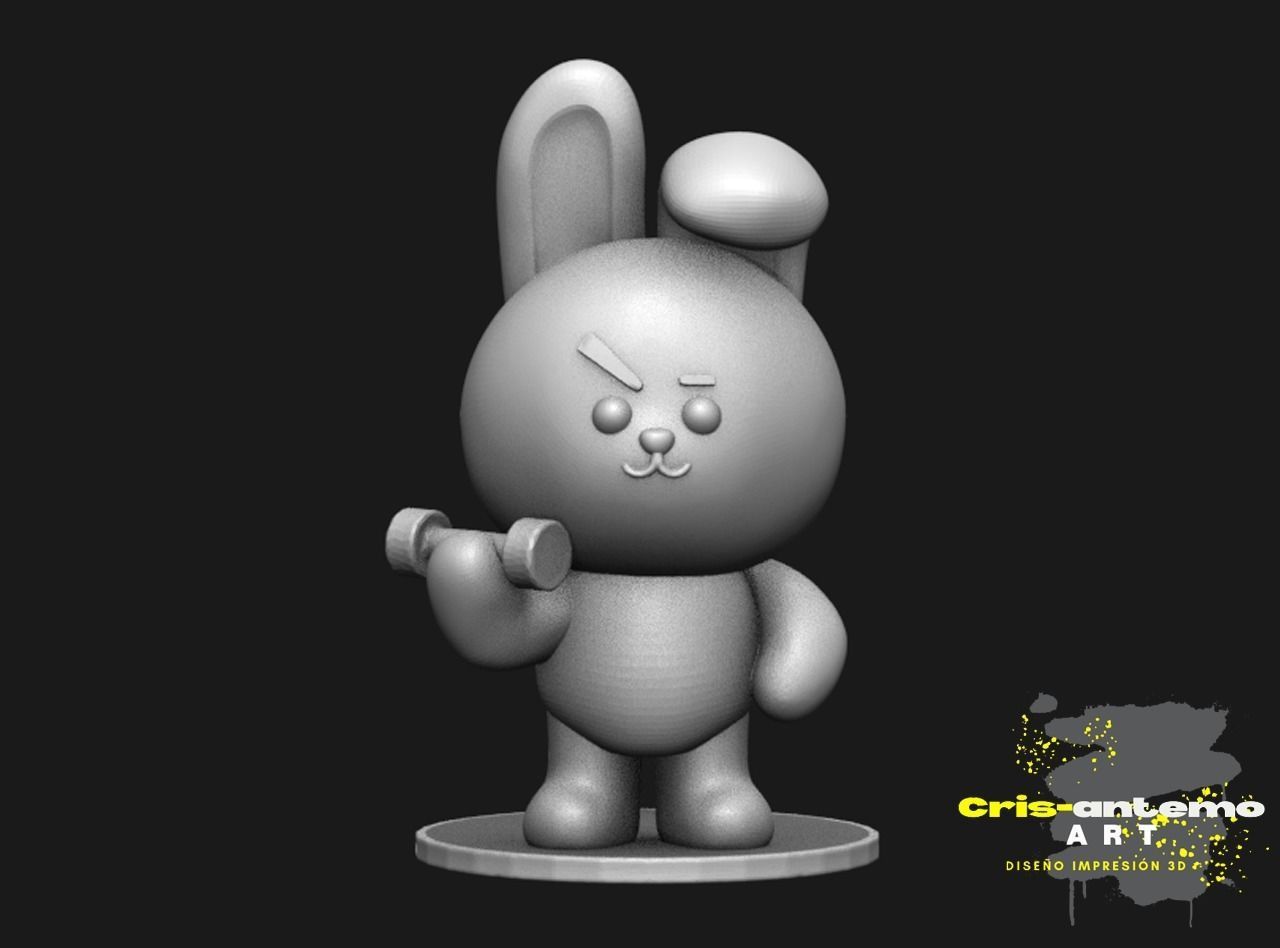 COOKY BTS 3D print model_1