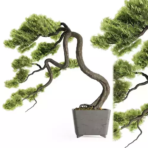Bonsai Summer Season 3D model