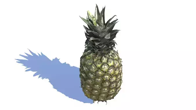 Pineapple photogrammetry scan 