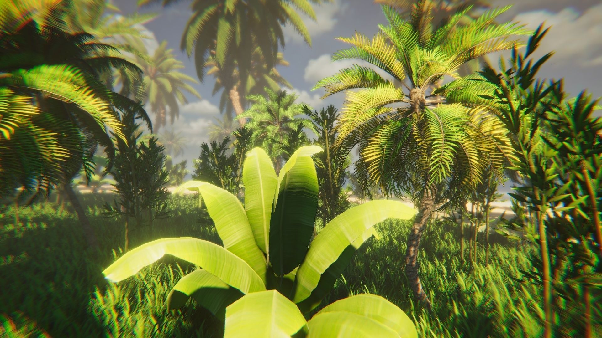 Tropical Island Vegetation Low-poly 3D model_9