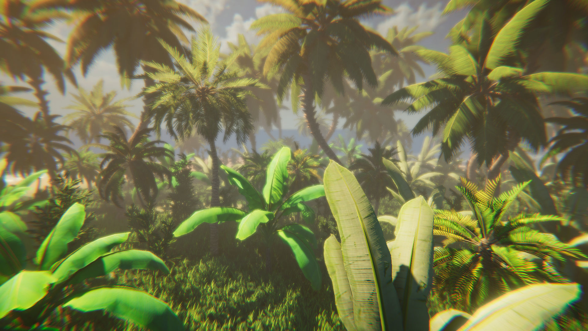 Tropical Island Vegetation Low-poly 3D model_7