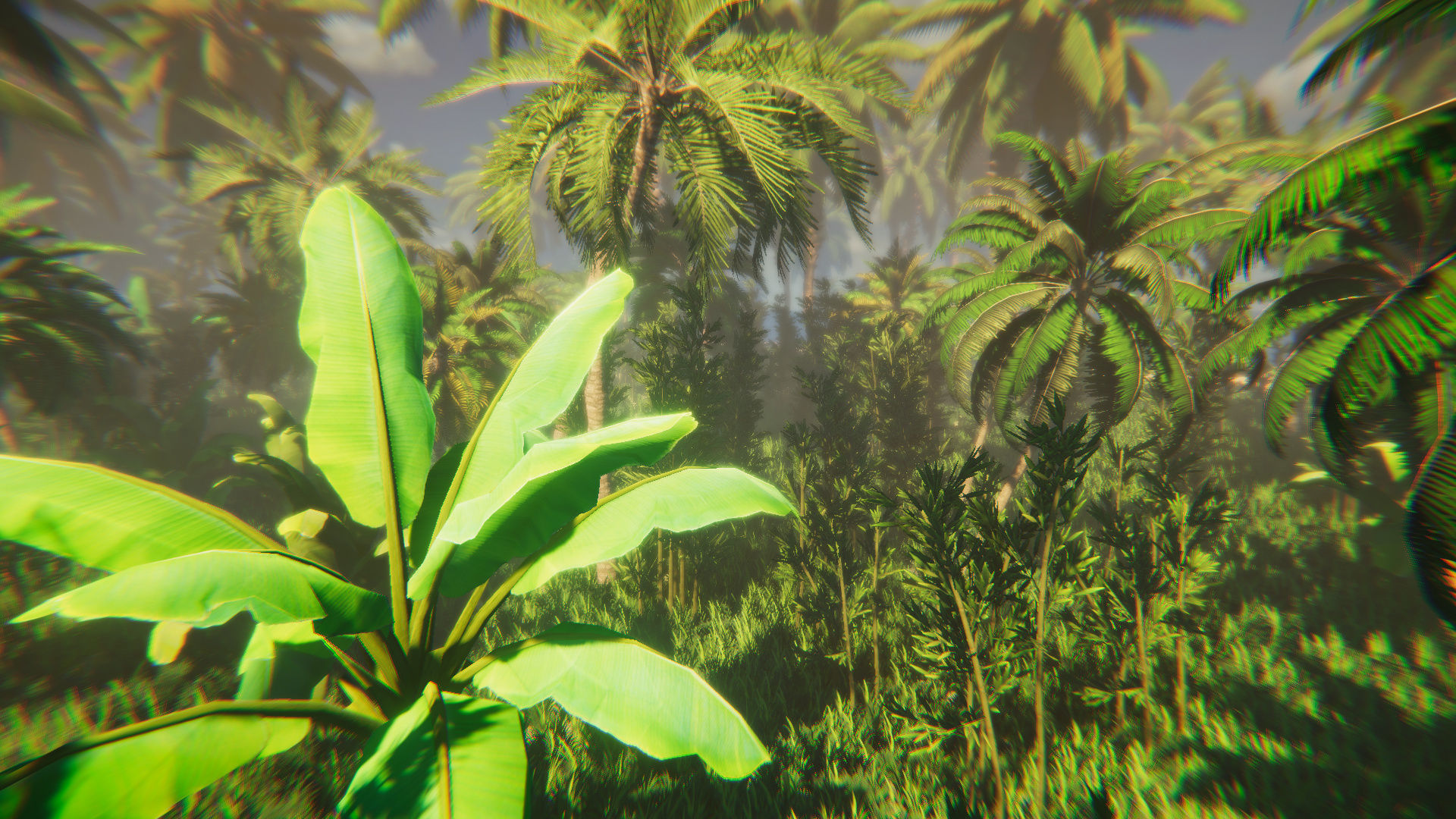 Tropical Island Vegetation Low-poly 3D model_4