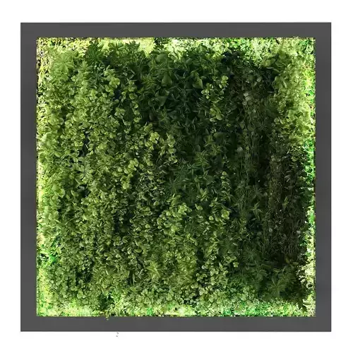 Vertical garden 200