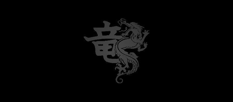 Dragon petterns 3D model_17