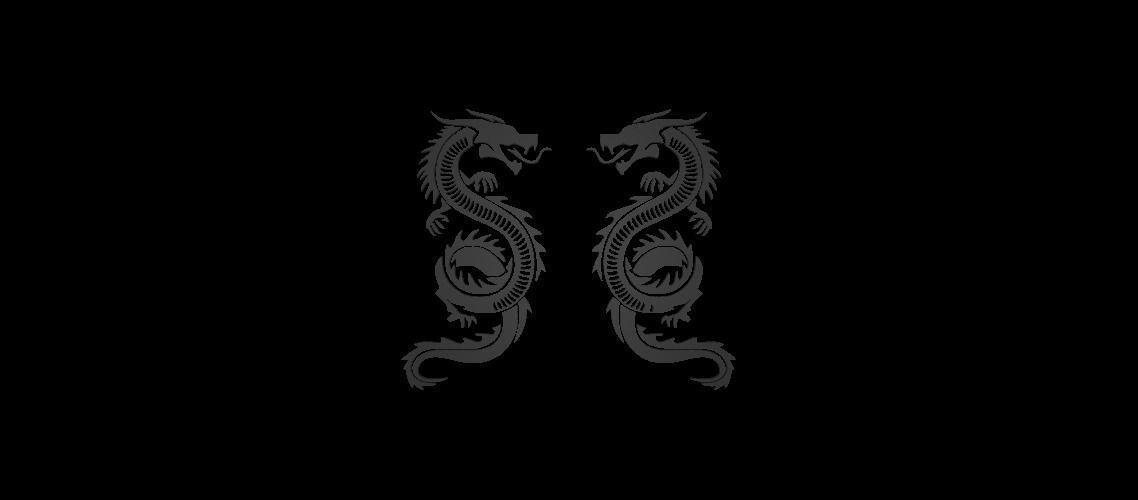 Dragon petterns 3D model_2