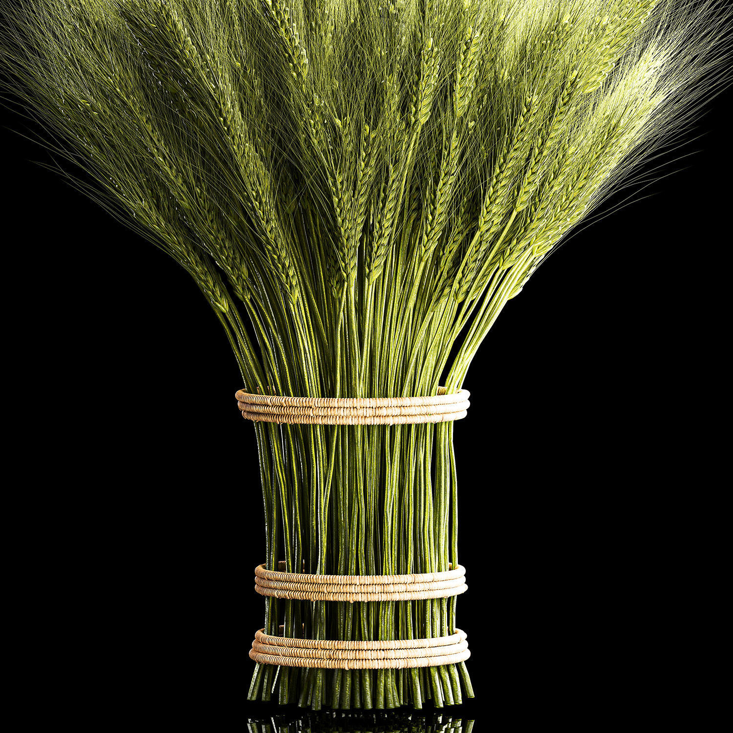 Decorative bouquet of green spikelets of wheat 286 3D model_4
