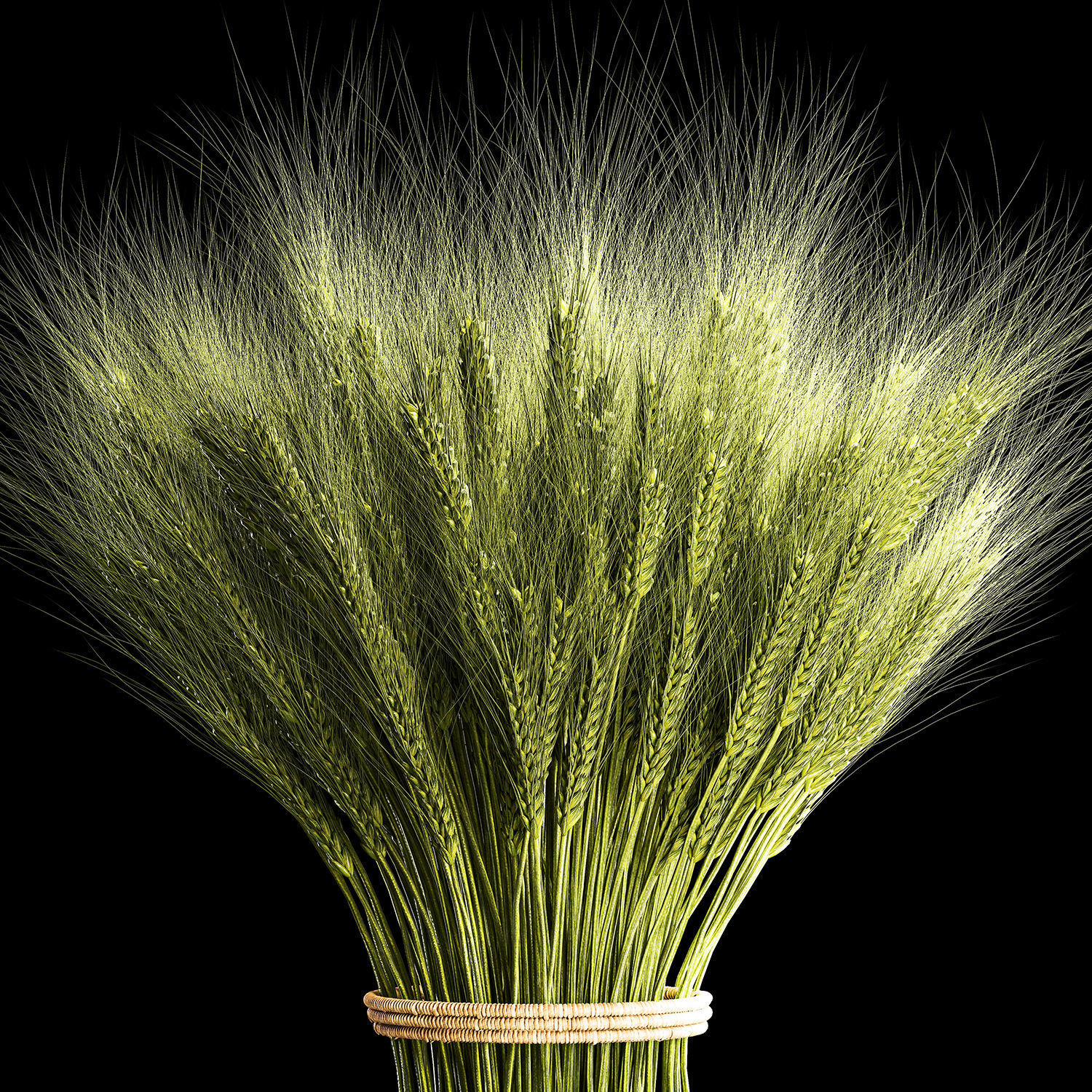 Decorative bouquet of green spikelets of wheat 286 3D model_2